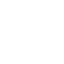 Website Audit no sale 1